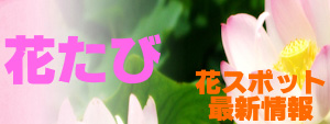 花たび–花スポット最新情報